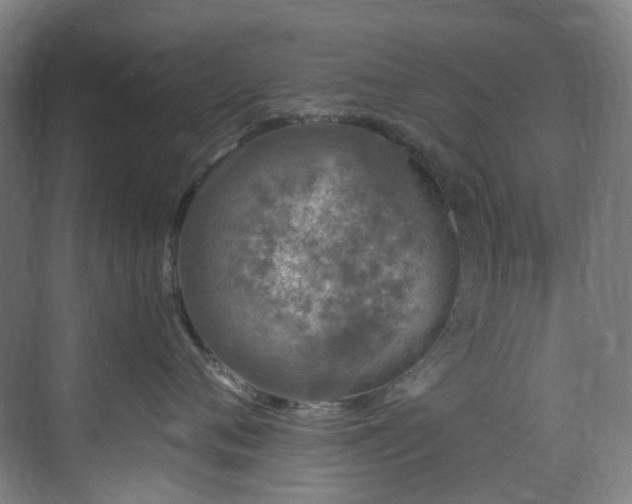 X0000071350720200606261342