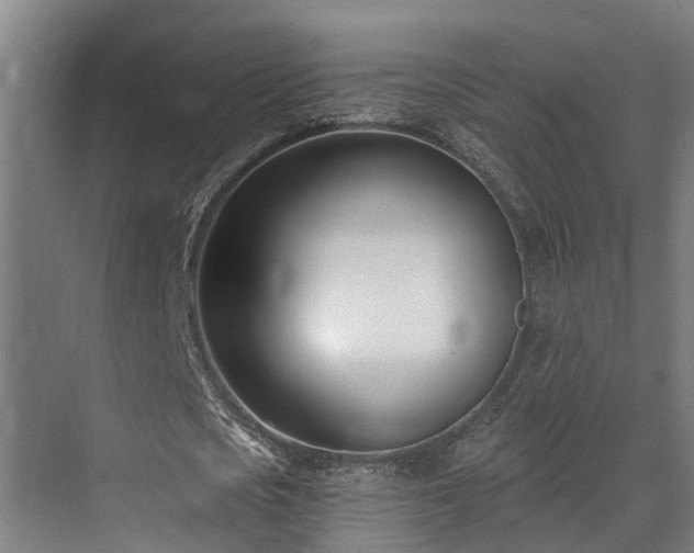 X0000071350721200606261341