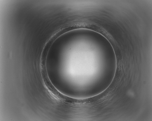 X0000071350722200606261341