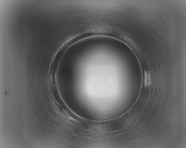 X0000071350723200606261341