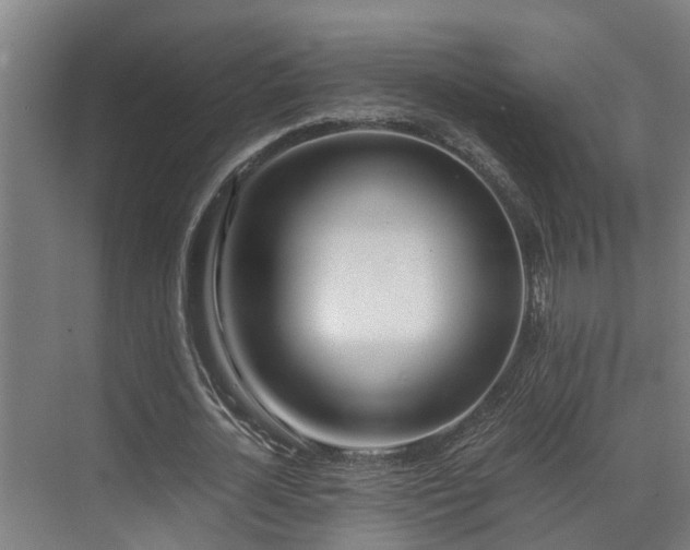 X0000071350724200606261341