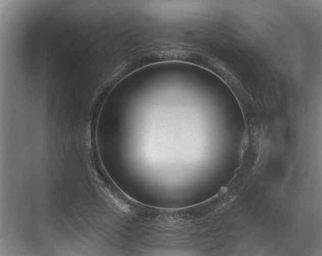 X0000071350729200606261341