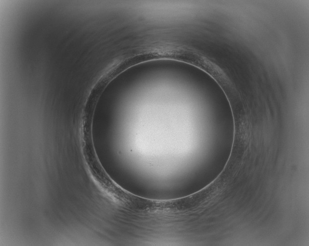 X0000071350730200606261341