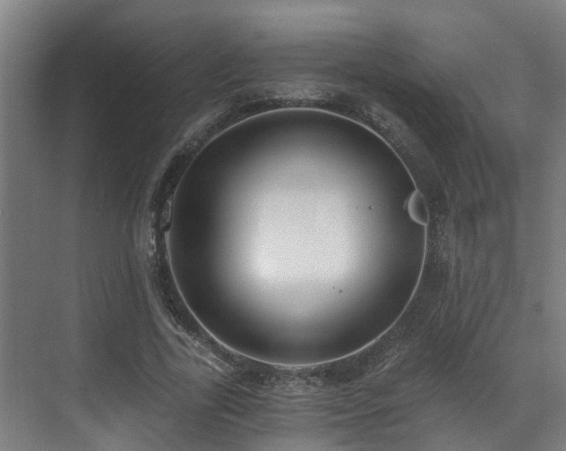 X0000071350731200606261341