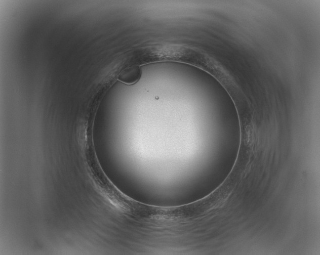 X0000071350733200606261341