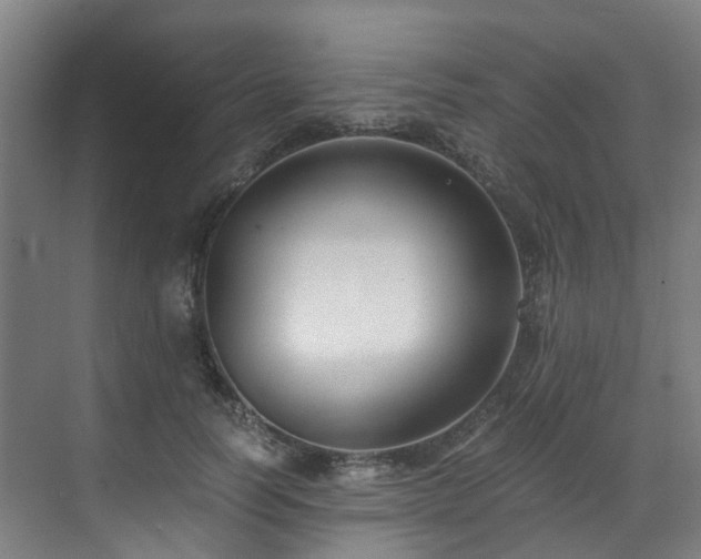 X0000071350746200606261341