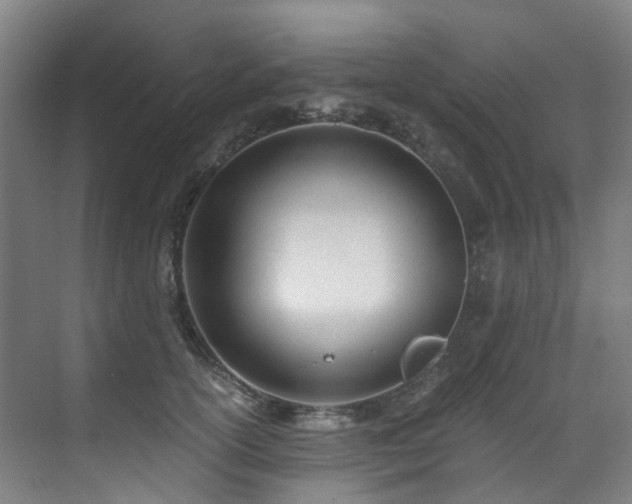 X0000071350754200606261341