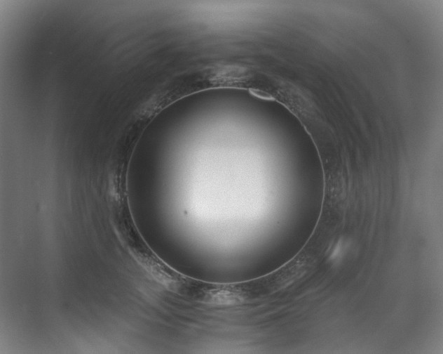 X0000071350755200606261341