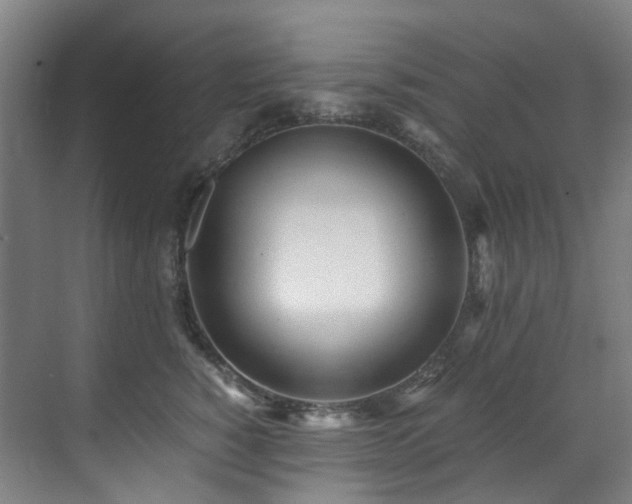 X0000071350760200606261341