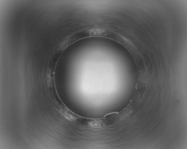 X0000071350761200606261341