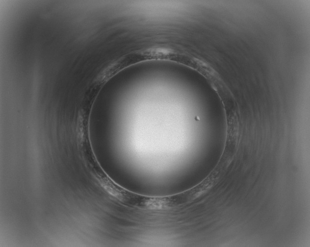 X0000071350762200606261341