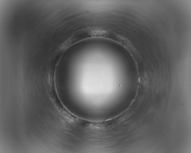 X0000071350763200606261341