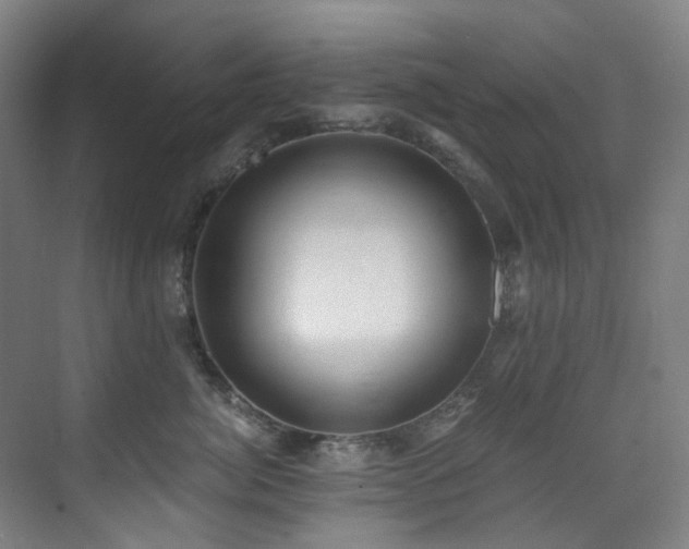 X0000071350764200606261341