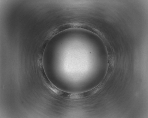 X0000071350766200606261341