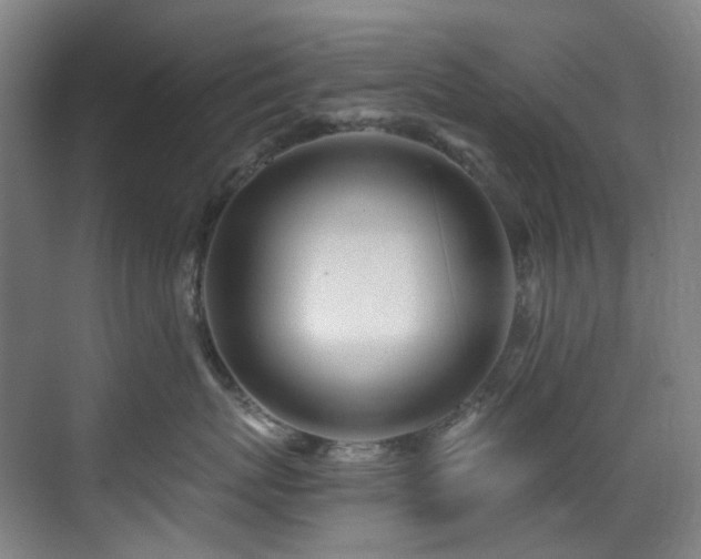 X0000071350767200606261341