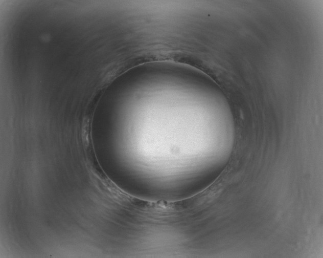 X0000071350768200606261342