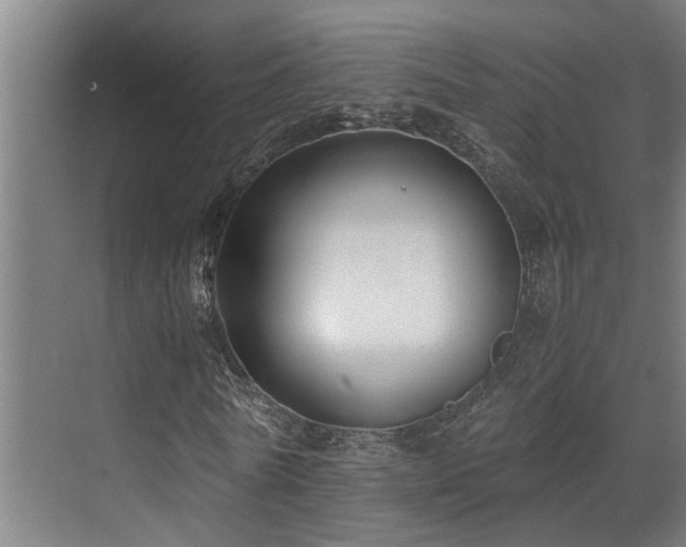 X0000071350770200606261341