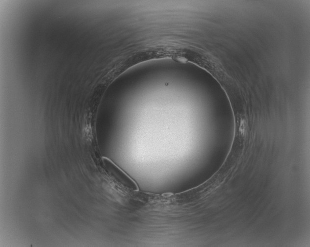 X0000071350771200606261341