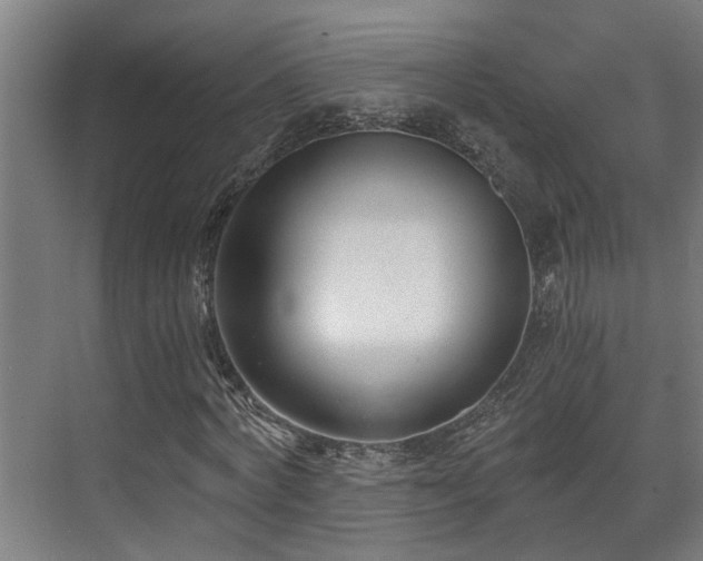 X0000071350772200606261341