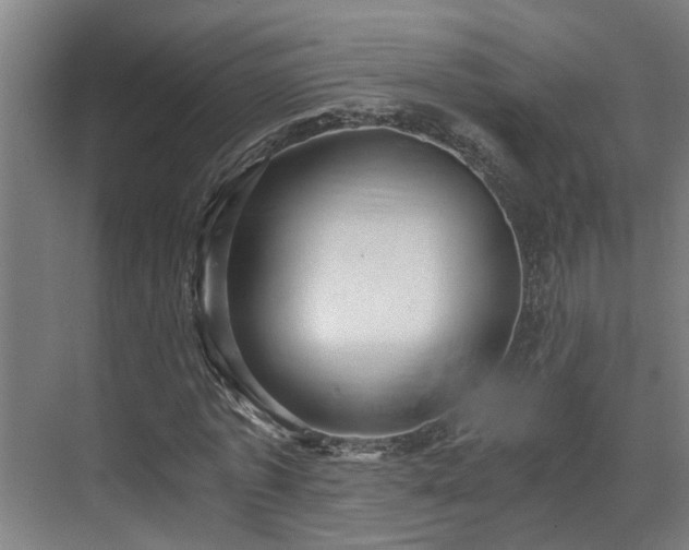 X0000071350773200606261341