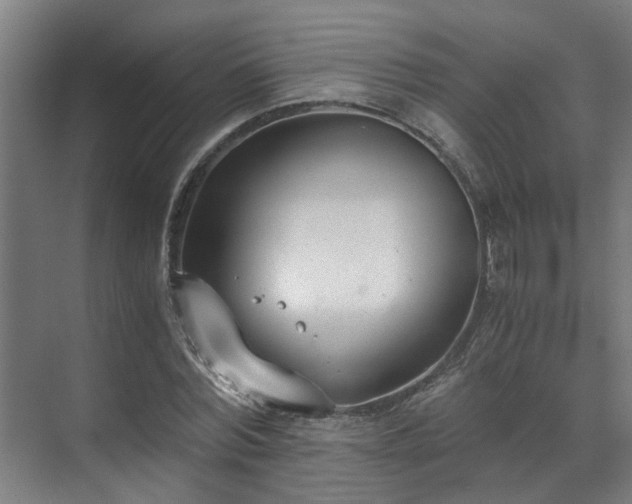 X0000071350780200606261341