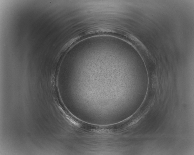 X0000071350785200606261340