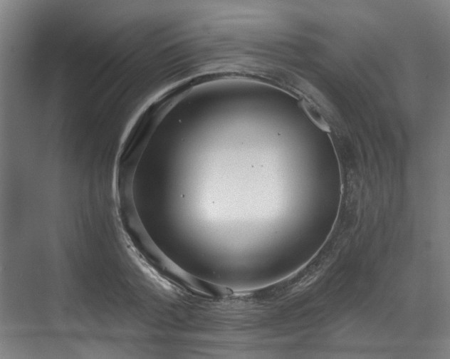 X0000071350788200606261340