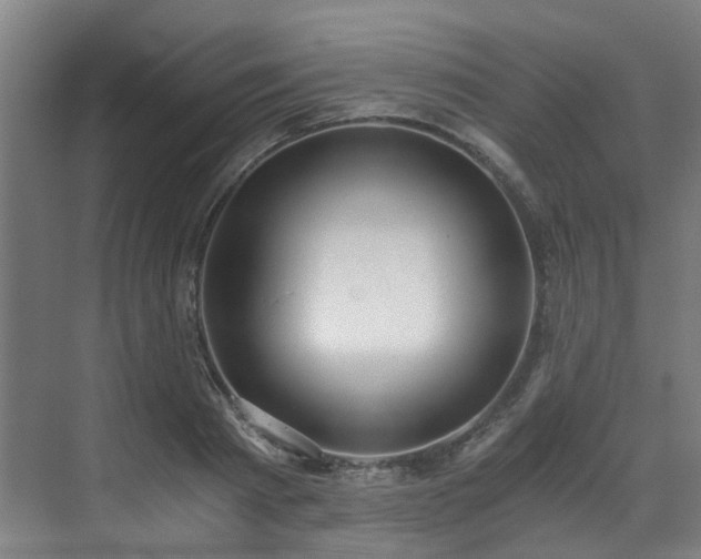 X0000071350793200606261340