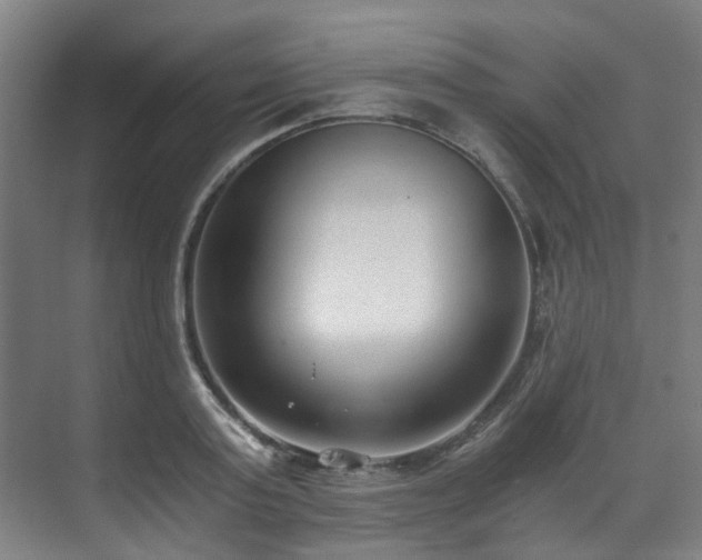 X0000071350795200606261340