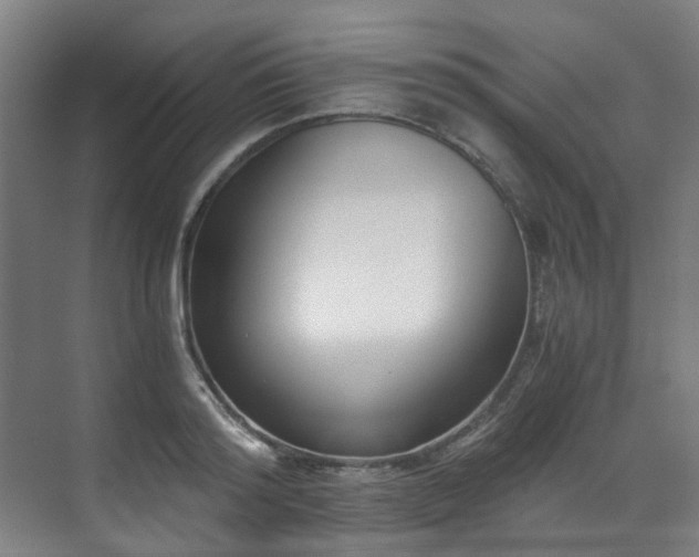 X0000071350796200606261340