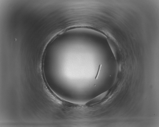 X0000071350797200606261340