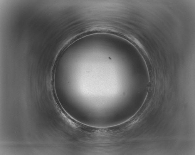 X0000071350799200606261340