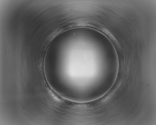 X0000071350801200606261340