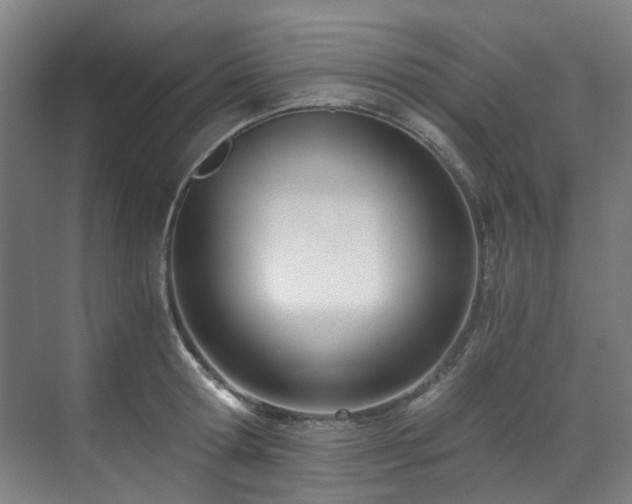 X0000071350802200606261340