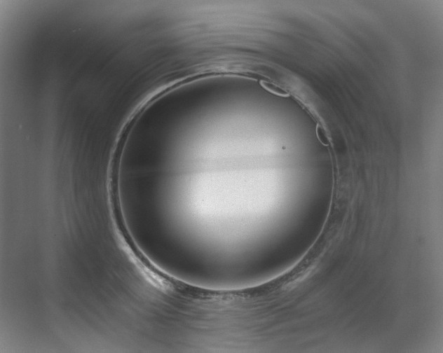 X0000071350803200606261340