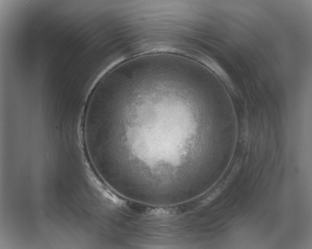 X0000071350806200606261340