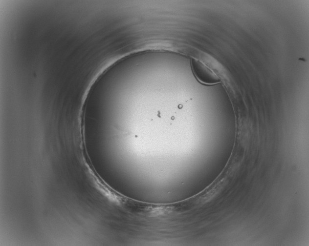 X0000071350808200606261340