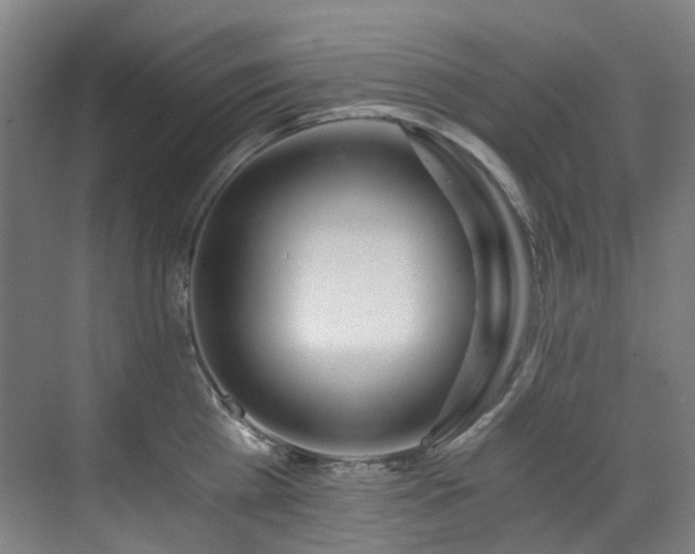 X0000071350809200606261340