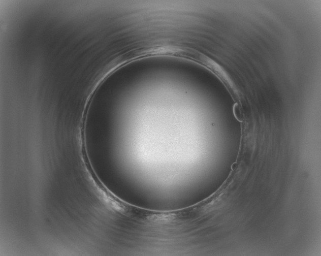 X0000071350810200606261340