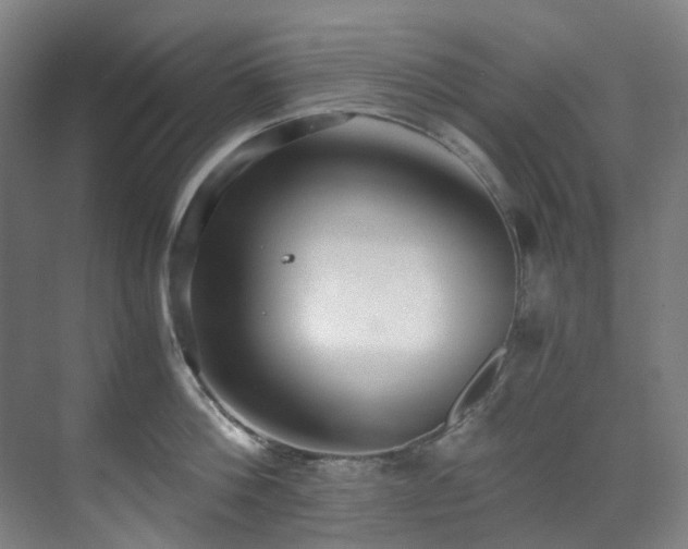 X0000071350812200606261340