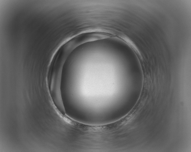 X0000071350813200606261340