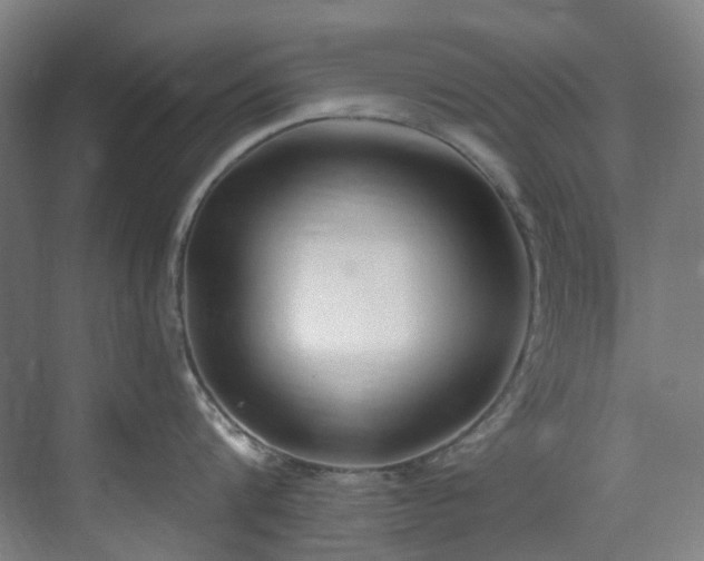 X0000071350816200606261340