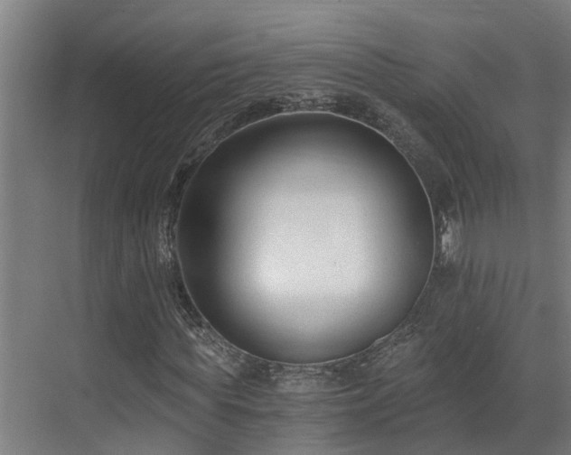 X0000071350819200606261339