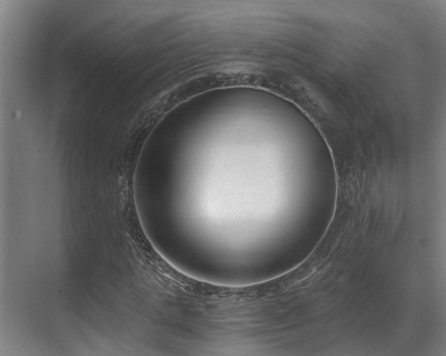 X0000071350821200606261339