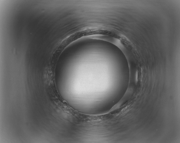 X0000071350822200606261339