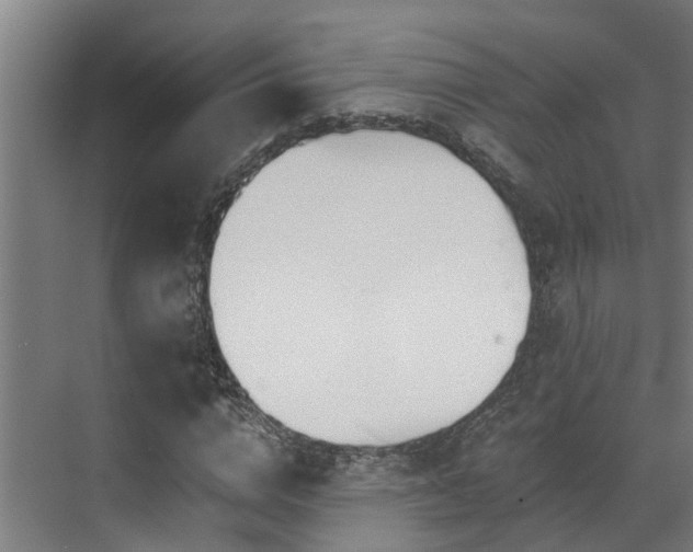 X0000071350824200606261339