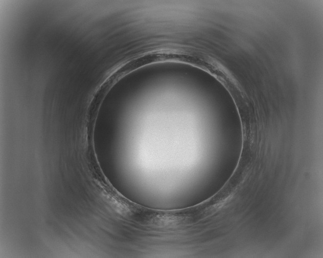 X0000071350829200606261339