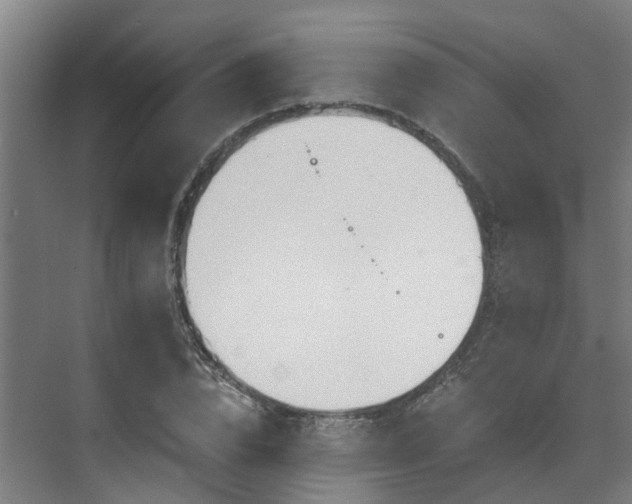 X0000071350832200606261339