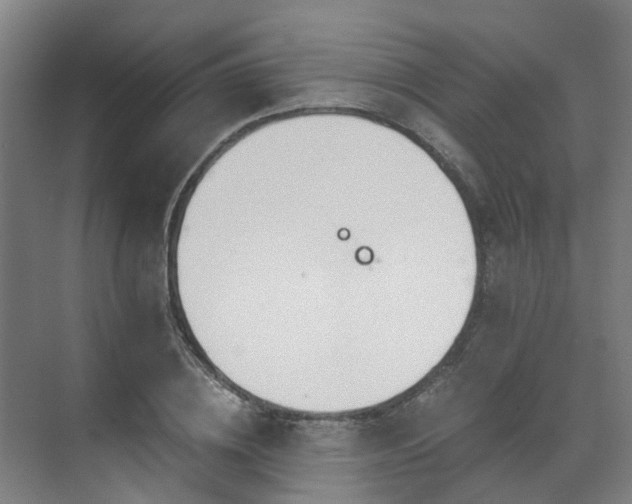 X0000071350836200606261339