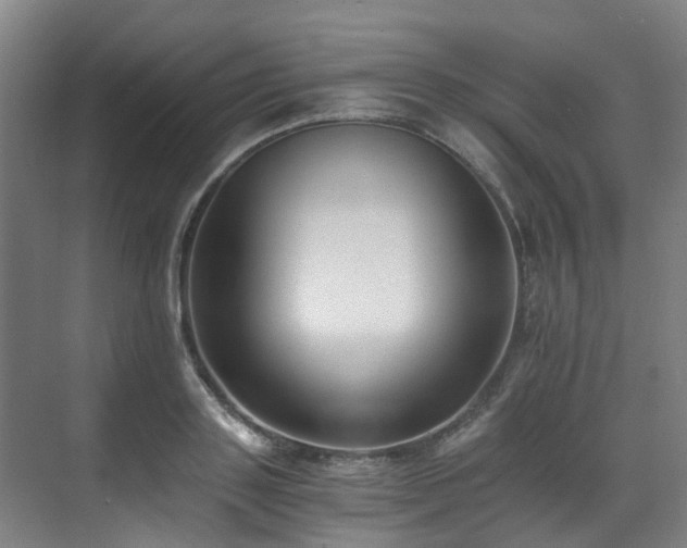 X0000071350843200606261340